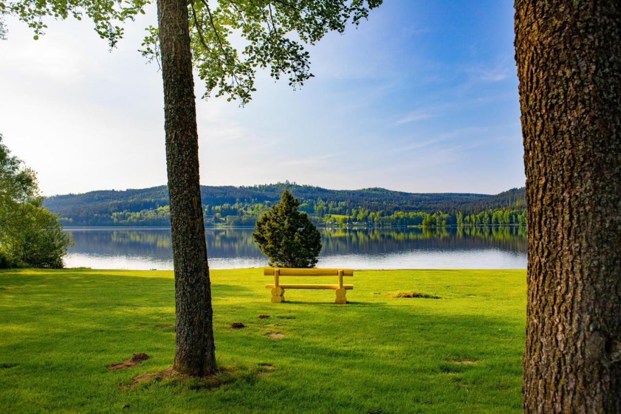Amenity & Lipno