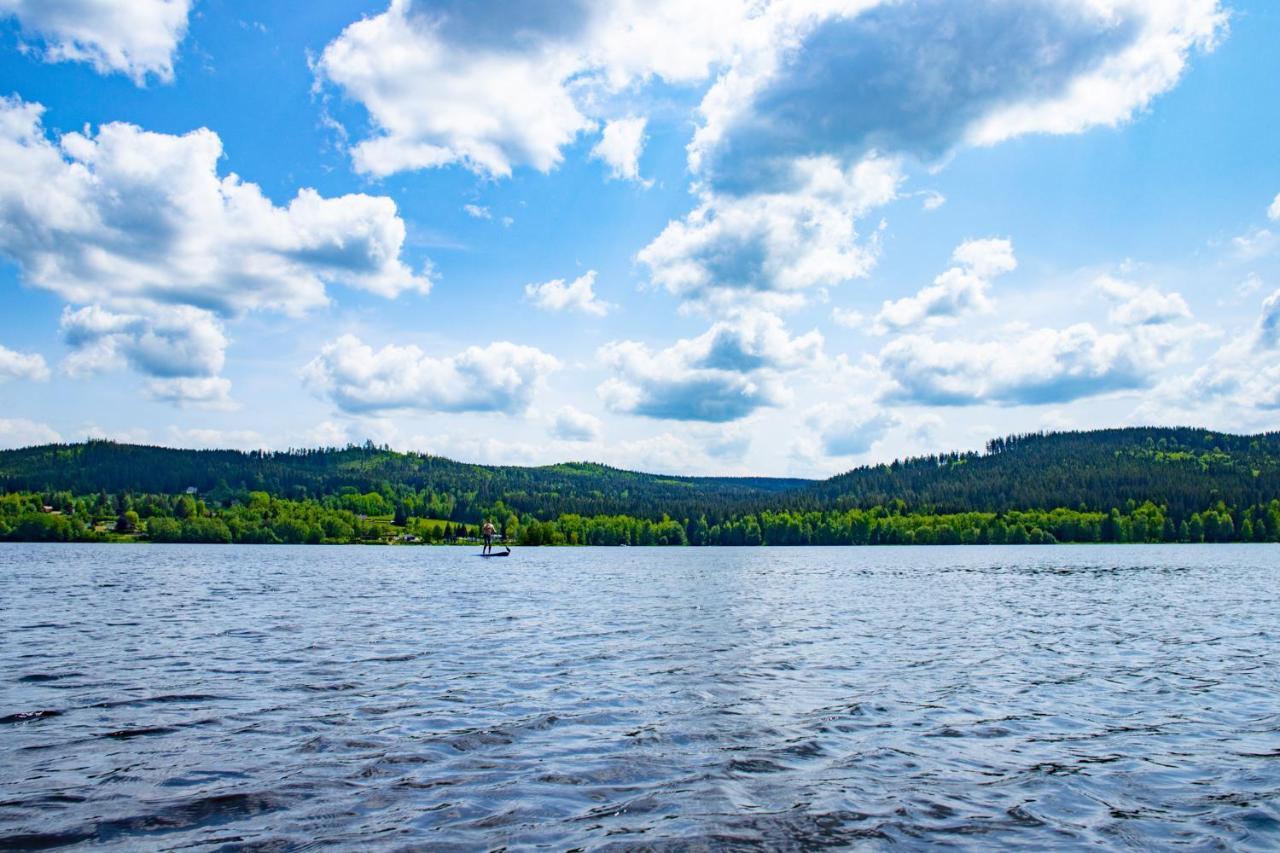Hotel Amenity & Lipno 4*