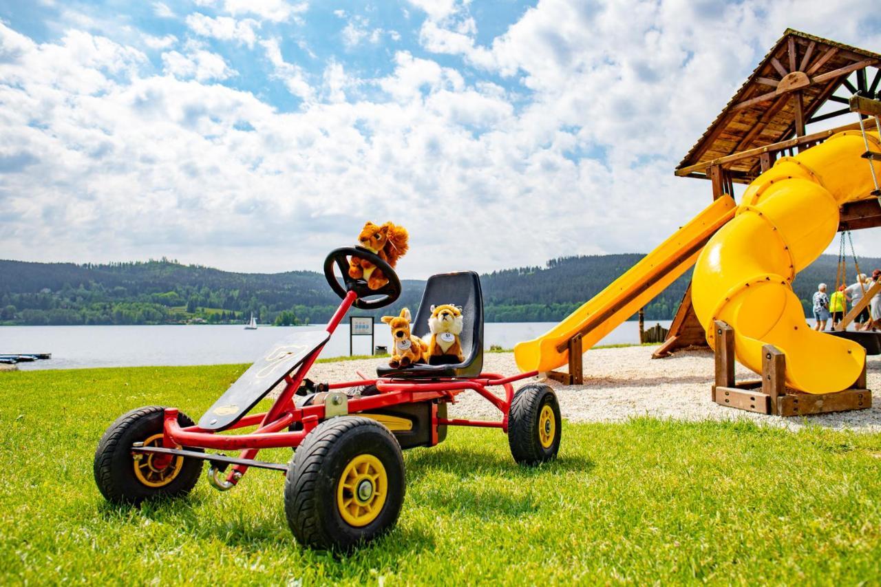 Amenity & Lipno Hotel Lipno nad Vltavou