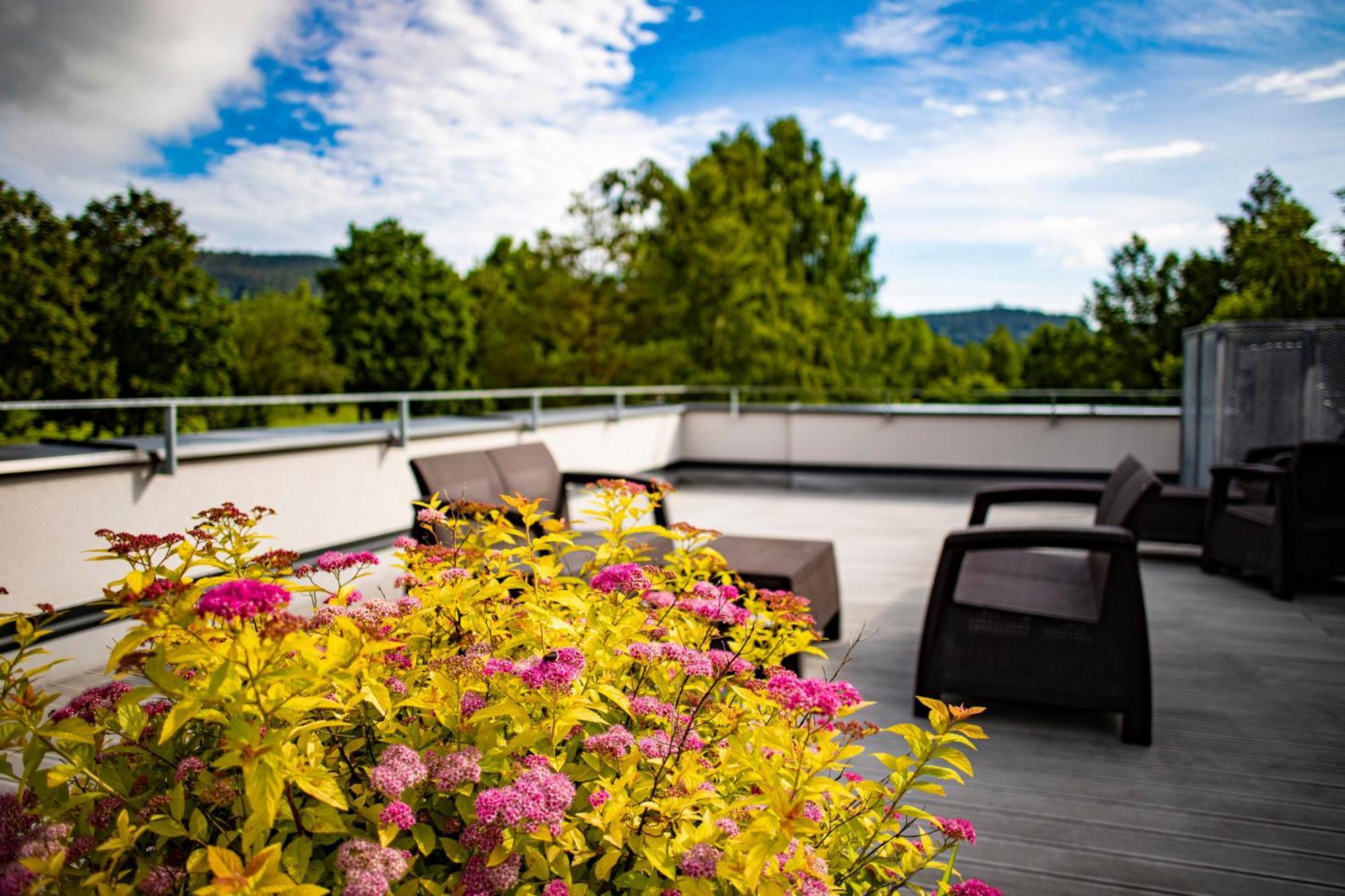 Hotel Amenity & Lipno 4*